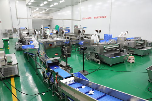 拜泉縣 技術(shù)咨詢賦能重點項目，全力開創(chuàng)建設(shè)新局面